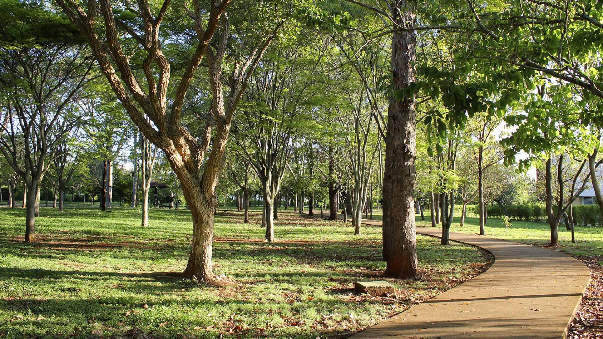 Bosques e trilhas